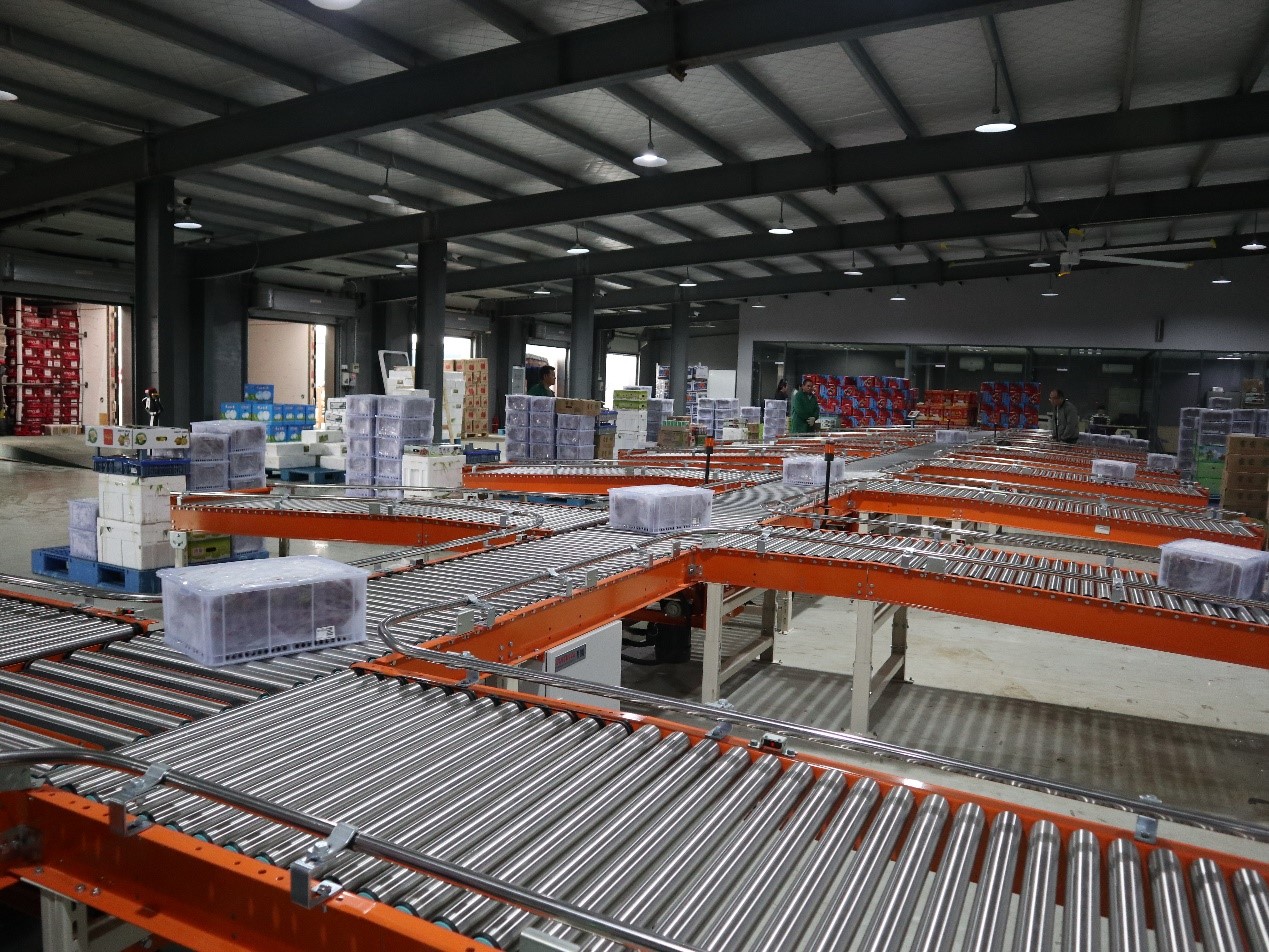 生鮮食品行業(yè)新項(xiàng)目竣工 | 蘇洪鮮食倉儲智能管理系統(tǒng)正式上線