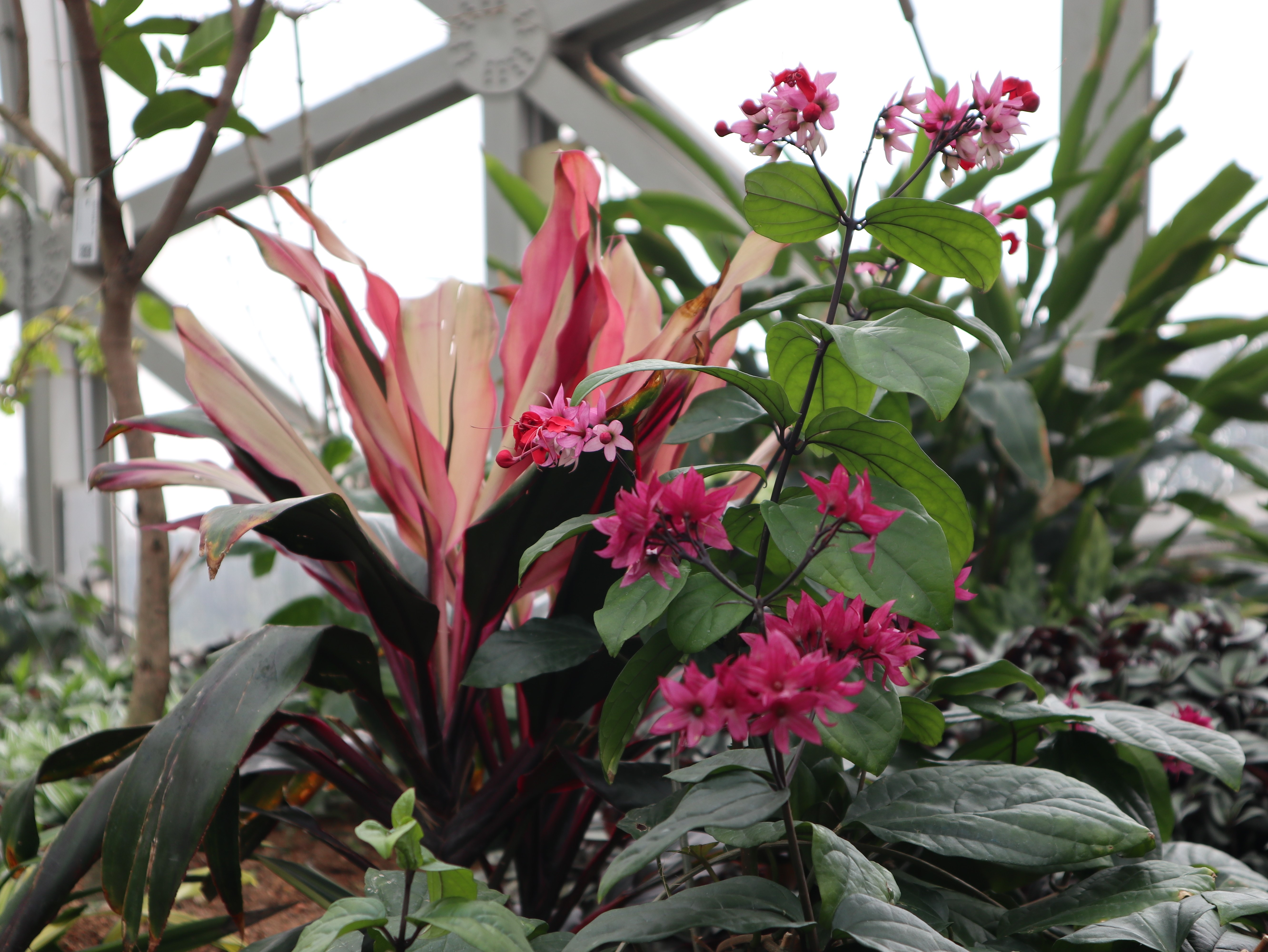 新聞 | 寶開組織“相約春季，歡暢游園”三八節(jié)主題活動(dòng)